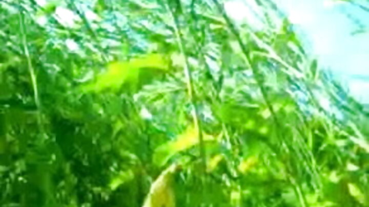 এক শিল্পী তার প্রতিকৃতিতে হস্তক্ষেপ করার জন্য তার মডেলকে নির্মমভাবে পাছায় ধর্ষণ করেছিল।